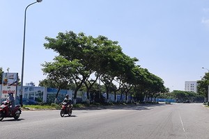 Tổ hợp dịch vụ pháo hoa quốc tế Đà Nẵng tại phường Mỹ An, quận Ngũ Hành Sơn là 1 trong 10 dự án, khu đất được đưa vào kế hoạch đấu giá chuyển quyền sử dụng đất năm 2020 để thu hút đầu tư.