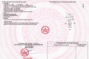 Sổ đỏ cấp cho đất phân lô, bán nền được bên môi giới giới thiệu