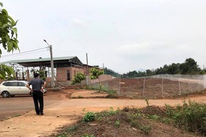 Đoàn công tác của tỉnh Gia Lai có trách nhiệm kiểm tra và tháo gỡ khó khăn cho cá dự án cũng như với công tác sản xuất kinh doanh.