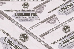 Ảnh minh họa. Nguồn: internet