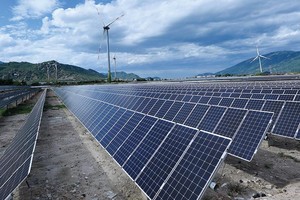 Với sự thúc đẩy của Chính phủ, vài năm trở lại đây, năng lượng tái tạo phát triển vô cùng mạnh mẽ tại Việt Nam. Ảnh: Đ.T