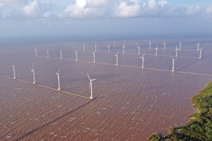 Hiện có 9 dự án điện gió nối lưới với tổng công suất khoảng 440 MW đang vận hành. Ảnh: Đức Thanh