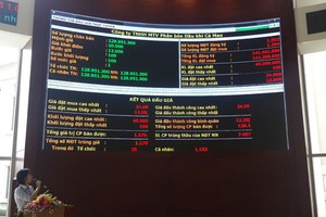 Gần 1.200 nhà đầu tư trúng đấu giá 129 triệu cổ phần Đạm Cà Mau