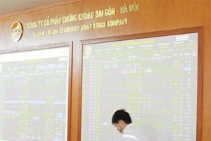 SHS: Doanh thu 6 tháng đạt 198,7 tỷ đồng