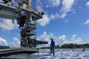 Đạm Cà Mau đạt 64% kế hoạch lợi nhuận năm 2018