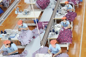 May Sông Hồng đặt kế hoạch cổ tức 35-45% năm 2019