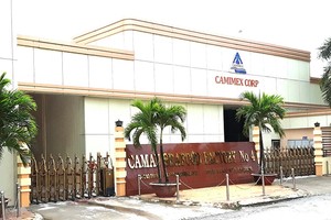 Camimex Group (CMX) sẽ phát hành hơn 30 triệu cổ phiếu, giá 10.000 đồng/CP