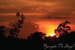 Ngơ ngẩn Tà Đùng!