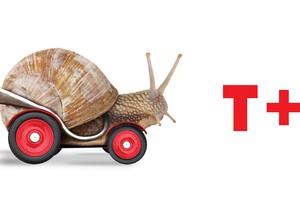 Nhiều nhà đầu tư cho rằng việc triển khai T+0 quá chậm. Đồ họa: Thành Nguyễn.