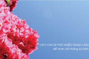 Ảnh, đồ họa: Thành Nguyễn.