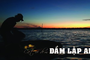 Cất rớ đêm trên Đầm Lập An