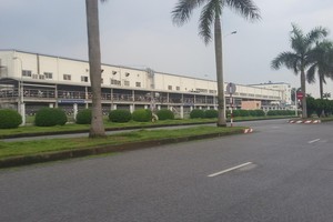 Bất động sản công nghiệp vẫn cho thấy sức hấp dẫn. Ảnh: Thành Nguyễn.