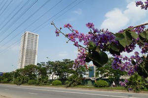 Giãn cách xã hội đã khiến thị trường cả quý trầm lắng hơn hẳn quý 2. Ảnh: Thành Nguyễn.