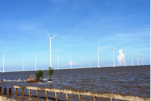 Điện gió ngoài khơi Việt Nam vẫn chưa phát huy hết tiềm năng.