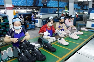 Vĩnh Phúc đang nỗ lực cải thiện các chỉ số thành phần PCI. 