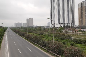 Ảnh: Thành Nguyễn