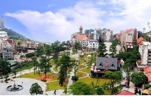 Tam Đảo là điểm đến được nhiều du khách yêu thích. Ảnh: Internet.