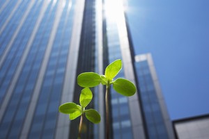 Các tiêu chí ESG tiếp tục đóng vai trò chủ đạo trong quá trình ra quyết định của nhà đầu tư. Ảnh: Shutterstock.