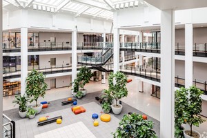 Một văn phòng ở Mỹ. 