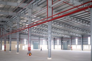 Ảnh: Thành Nguyễn.