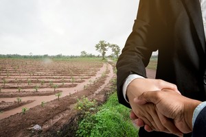Các chủ đầu tư đang tích cực shopping. Ảnh: Shutterstock.