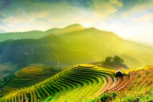 Ảnh: Shutterstock.