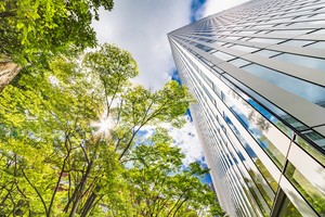 Ảnh: Shutterstock.