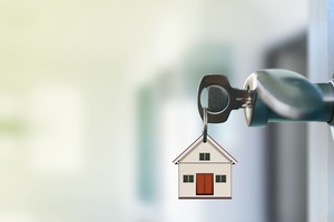 Ảnh: Shutterstock.