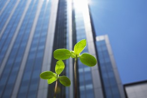 Công nghệ bùng nổ đang thúc đẩy nguồn cầu văn phòng cho thuê. Ảnh: Shutterstock.