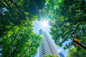 Ảnh: Shutterstock.