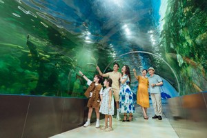 Thuỷ cung tại Công viên Thiên Đường Bảo Sơn luôn rất cuốn hút với du khách.