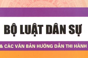 Sửa Bộ luật dân sự: Đảm bảo bình đẳng giữa pháp nhân “tư” và pháp nhân “công“