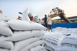 Đối với hoạt động mua lúa gạo tạm trữ, Vinafood2 cũng có sai phạm chưa mua trực tiếp của người nông dân, không tổ chức liên kết được thành hệ thống trong mua bán đảm bảo người nông dân có lãi tối thiểu 30% (ảnh minh họa)