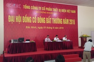 ĐHCĐ bất thường của GEX tổ chức đầu tháng 8 đã thông qua nhiều nội dung quan trọng