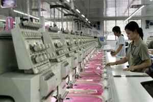 Xét xử phúc thẩm đại án Agribank: Triệu tập Công ty Dệt 19/5