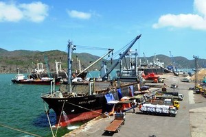 Từ năm 2013, Cảng Quy Nhơn bắt đầu hoạt động theo mô hình công ty cổ phần