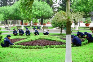 Sonaenco (SZE): Lợi nhuận năm 2017 sụt giảm mạnh