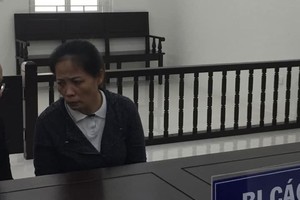 Bị cáo Chu Việt Hà tại phiên tòa sáng 20/11