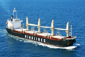 Vinalines kiện CTCP Container phía Nam (VSG) đòi cổ tức từ năm 2007-2008