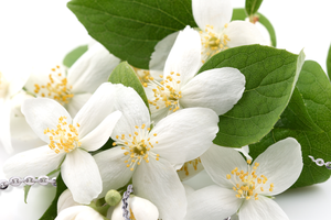 12 ngày vàng ưu đãi cùng PNJ shopping online 