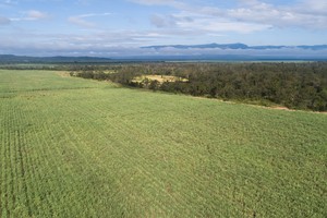 TTC Biên Hòa (SBT) chào bán riêng lẻ gần 44,5 triệu cổ phần ưu đãi cổ tức có quyền chuyển đổi cho nhà đầu tư ngoại