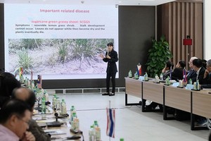 Giá đường sẽ gia tăng trong niên vụ 2019-2020 do thâm hụt sau thặng dư