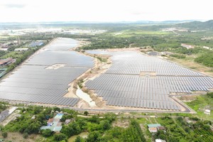 Điện Gia Lai (GEC) vận hành nhà máy điện mặt trời Trúc Sơn công suất 44,4 MWp
