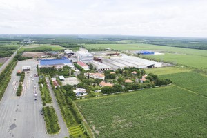 SBT: Doanh thu thuần niên độ 2018-2019 đạt 95% kế hoạch năm