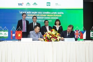 Niên vụ 2018 - 2019, TTC Sugar (SBT) xuất 4.500 tấn đường organic sang châu Âu