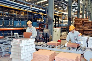 Việt Nam mang đến cơ hội đầu tư 45 tỷ USD vào phát triển bền vững cho khu vực tư nhân