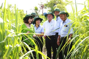 Viện Nghiên cứu Ứng dụng Kỹ thuật Nông nghiệp TTC Attapeu được thành lập sẽ là động lực mới 
giúp cải thiện đời sống người dân và kinh tế xã hội tại Attapeu.