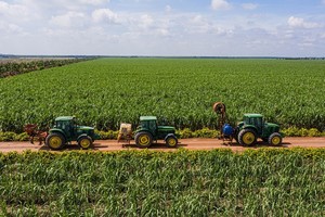 Ứng dụng cơ giới hóa trong canh tác mía tại TTC Biên Hòa