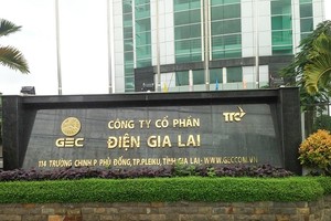 Kế toán trưởng Điện Gia Lai (GEG) bán xong 169.708 cổ phiếu