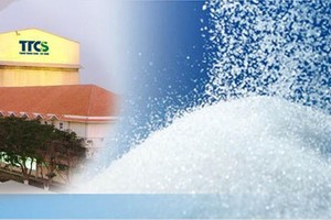 TTC Sugar (SBT) lãi sau thuế nữa niên độ 2020 - 2021 đạt gần 237 tỷ đồng